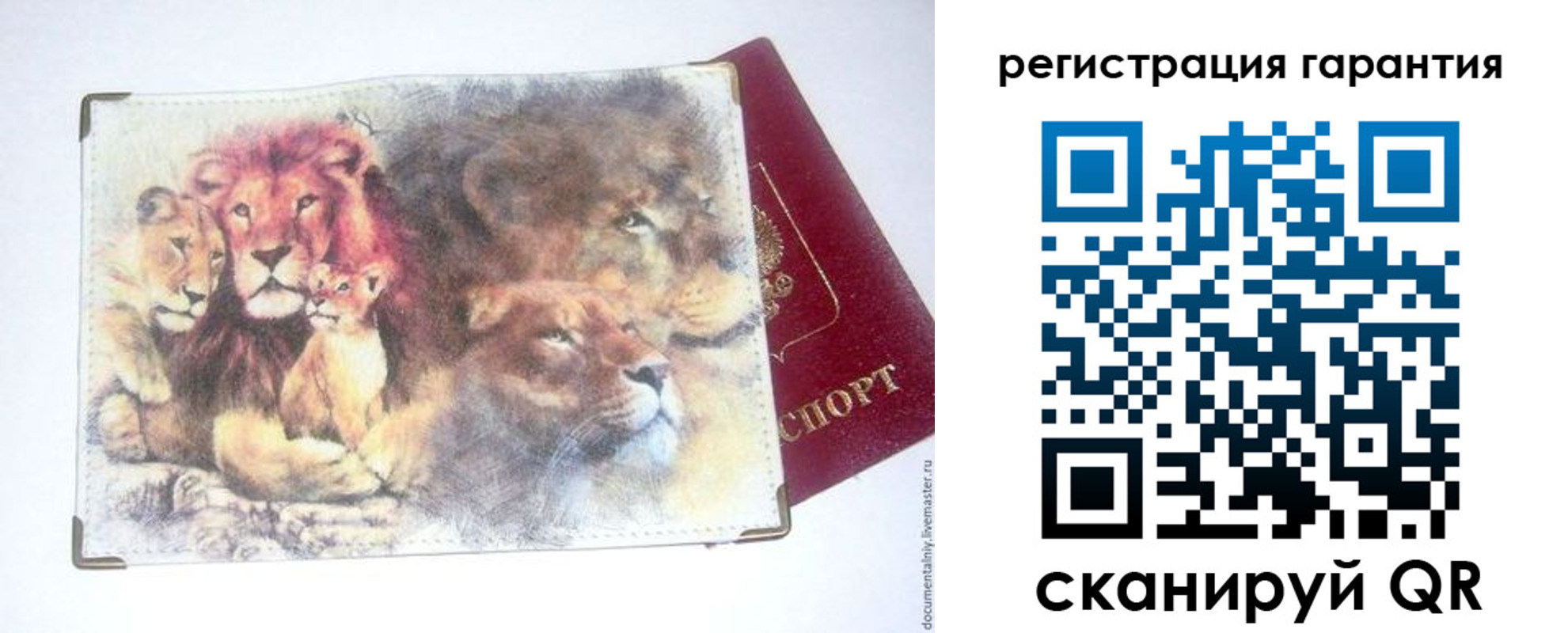 прописка 2025 в Костроме